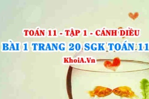 Bài 1 trang 20 SGK Toán 11 tập 1 Cánh Diều